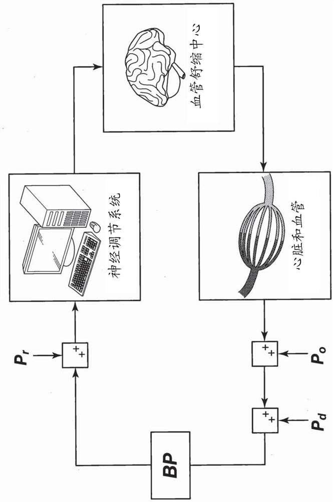 Blood pressure controlling apparatus, non-transitory computer readable recording medium storing control program of blood pressure controlling apparatus, and method for controlling blood pressure