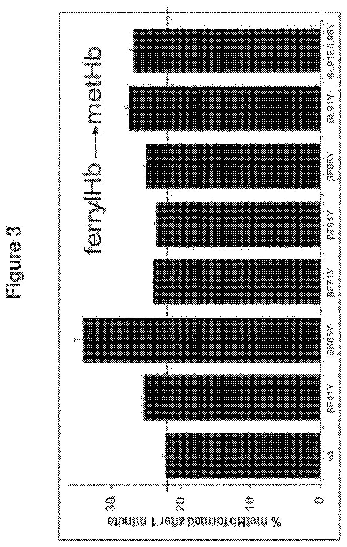 Modified haemoglobin proteins