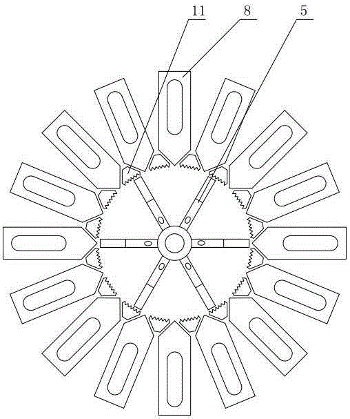 Spirulina cell wall breaking shear device