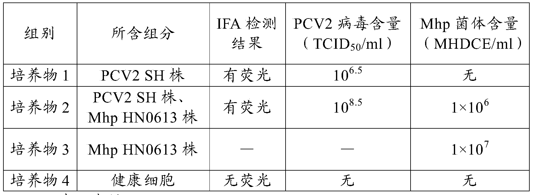 Porcine circovirus culture method and application