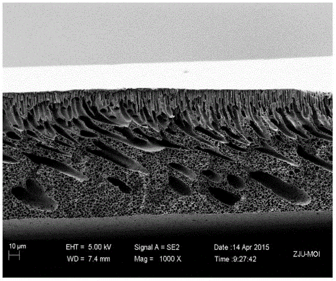 Multi-functional amphiphilic low-surface-energy polymer, and preparation method and application thereof