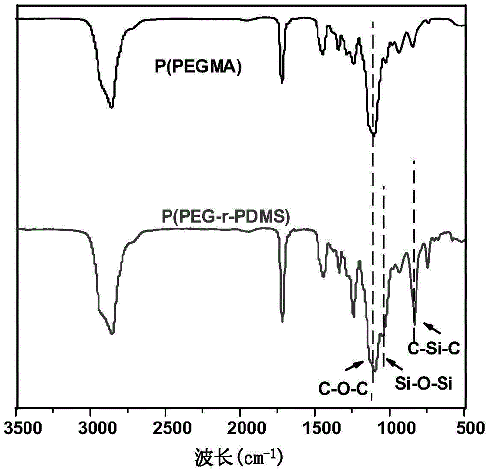 Multi-functional amphiphilic low-surface-energy polymer, and preparation method and application thereof