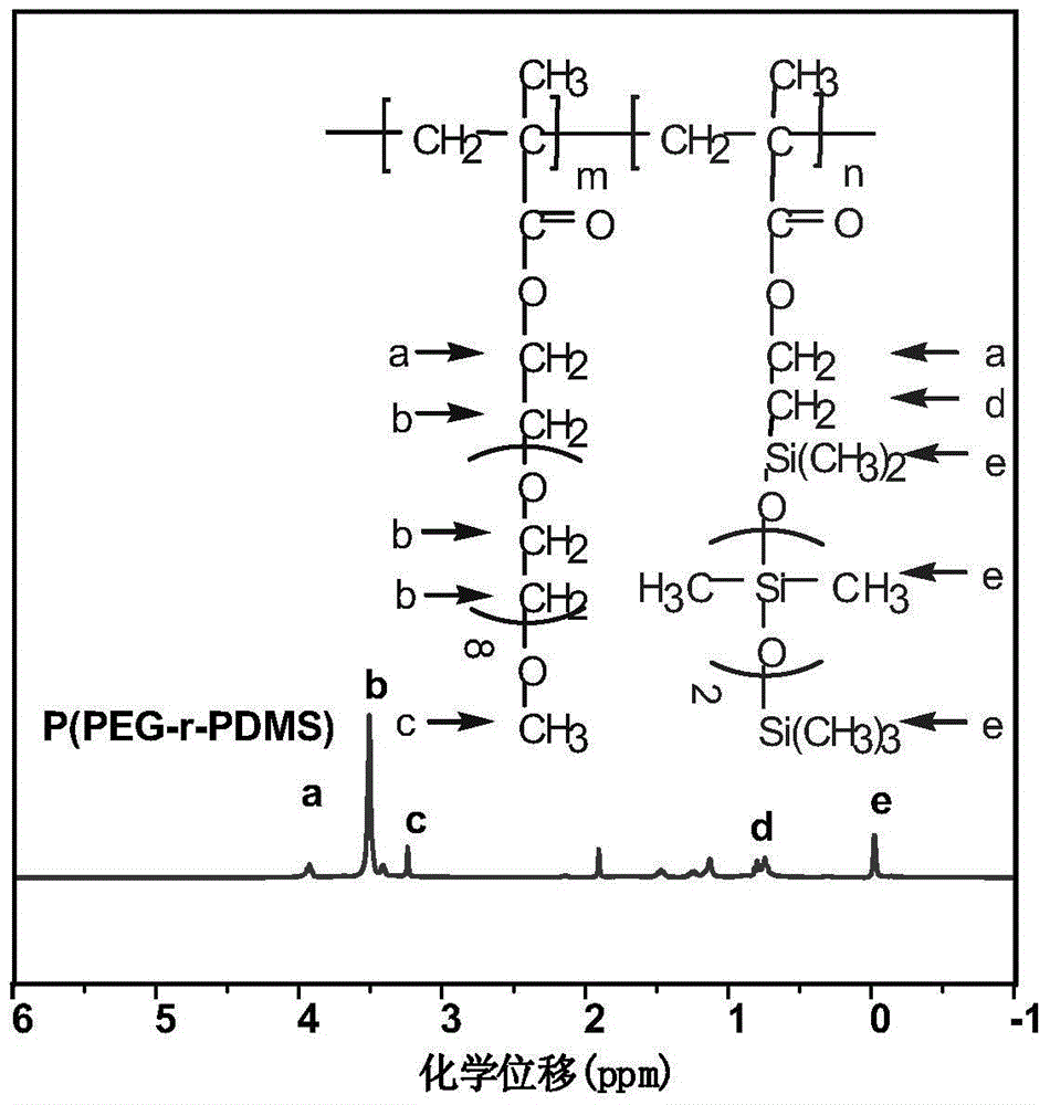 Multi-functional amphiphilic low-surface-energy polymer, and preparation method and application thereof