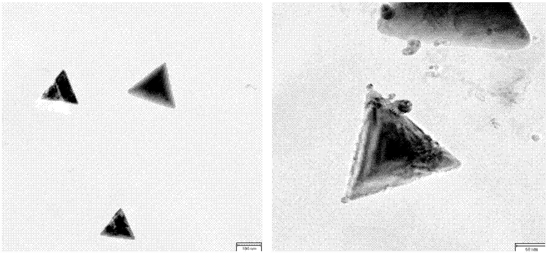 Method for preparing polypyrrole/gold nano composite