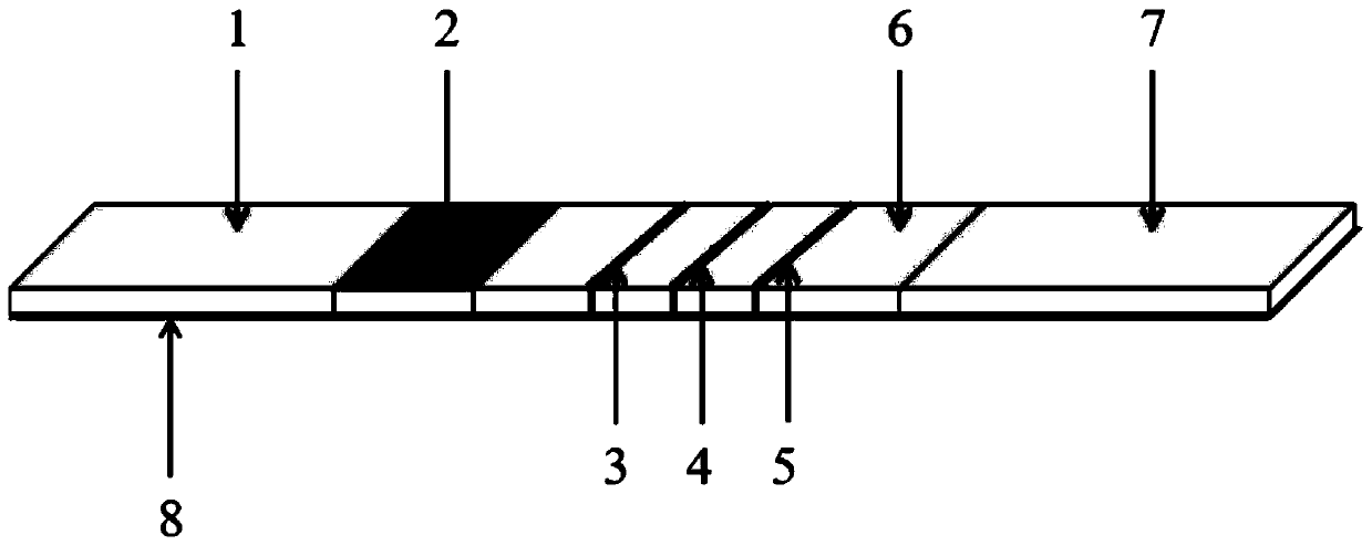 Novel fluorescence immunochromatography test strip for joint inspection of SARS-CoV-2 IgG-IgM antibodies of coronaviruses