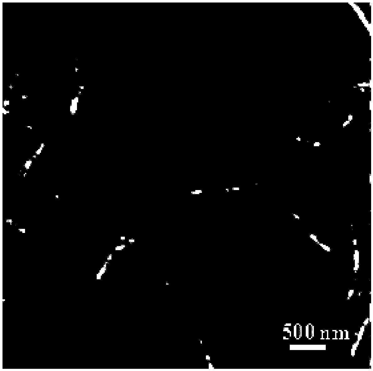 Chitin deacetylase and chitin nanofiber dispersion liquid as well as preparation method and application of chitin nanofiber dispersion liquid