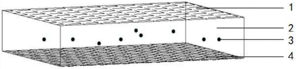 Method for quickly culturing and transplanting submerged plants