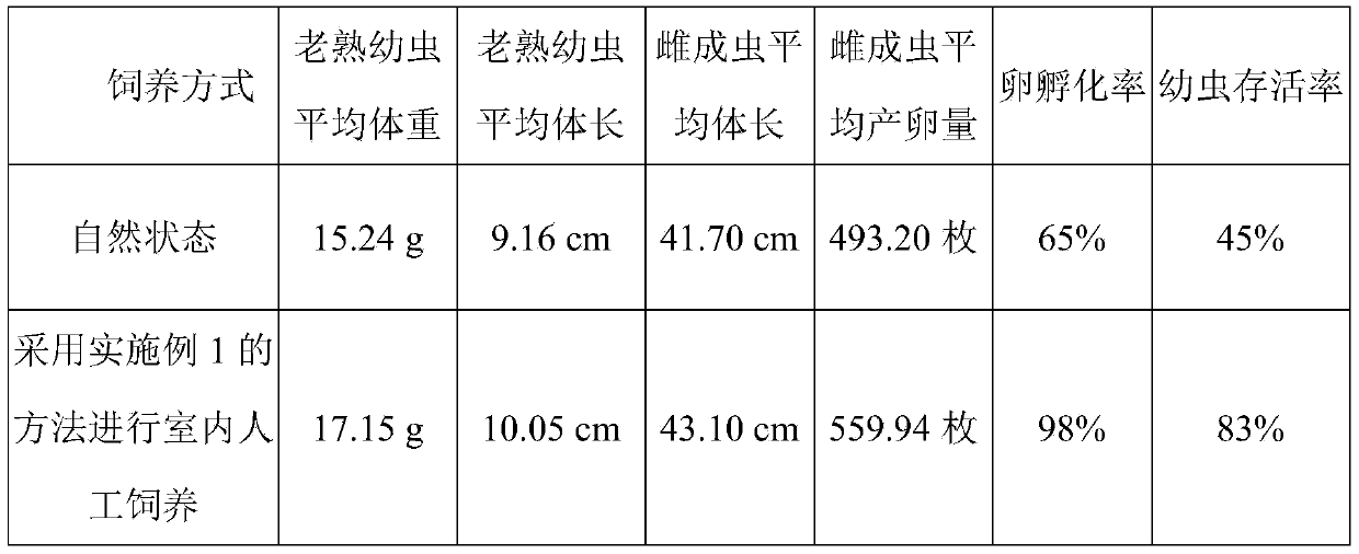 DorysthenesgranulosusThomson indoor artificial breeding method