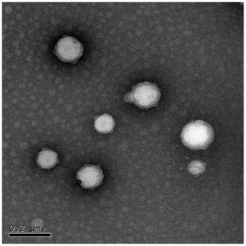 A kind of multifunctional nano medicine composition and its preparation method and application