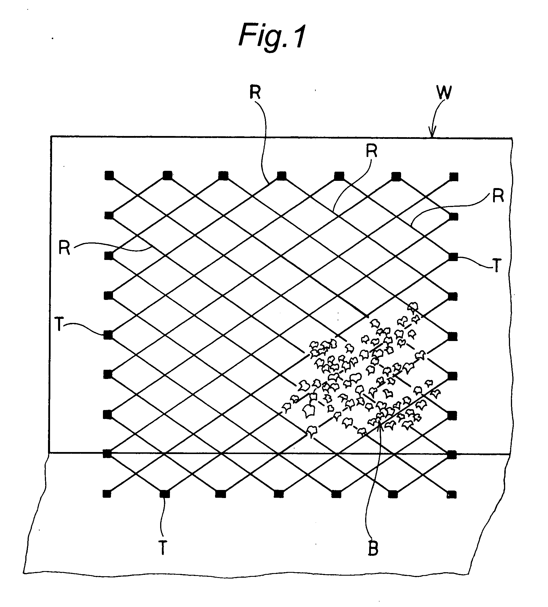 Spiral rope for liana raising, manufacturing method for the spiral rope and wall surface greening system