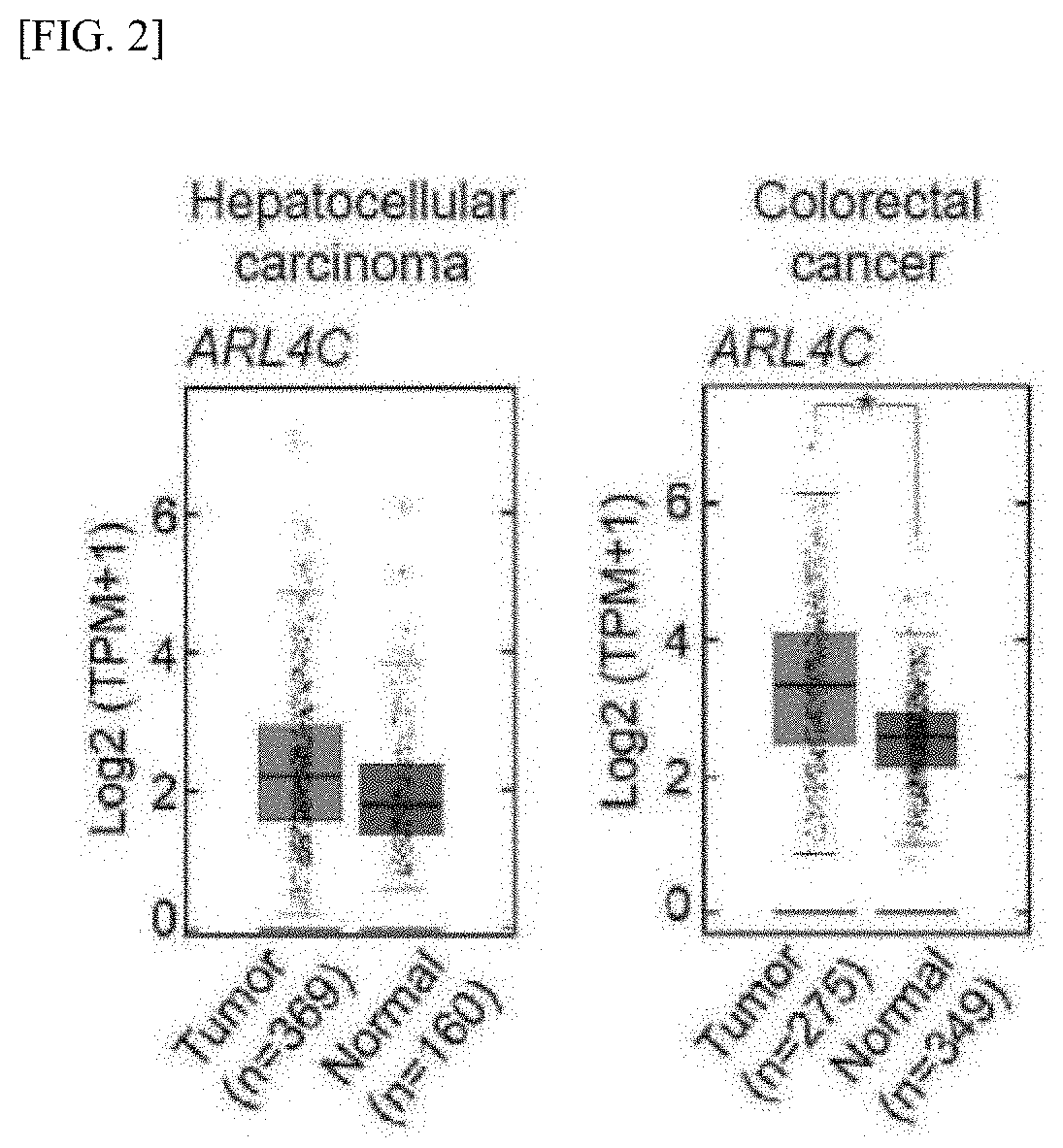 Antisense oligonucleotide targeting arl4c molecule, and nucleic acid drug using antisense oligonucleotide