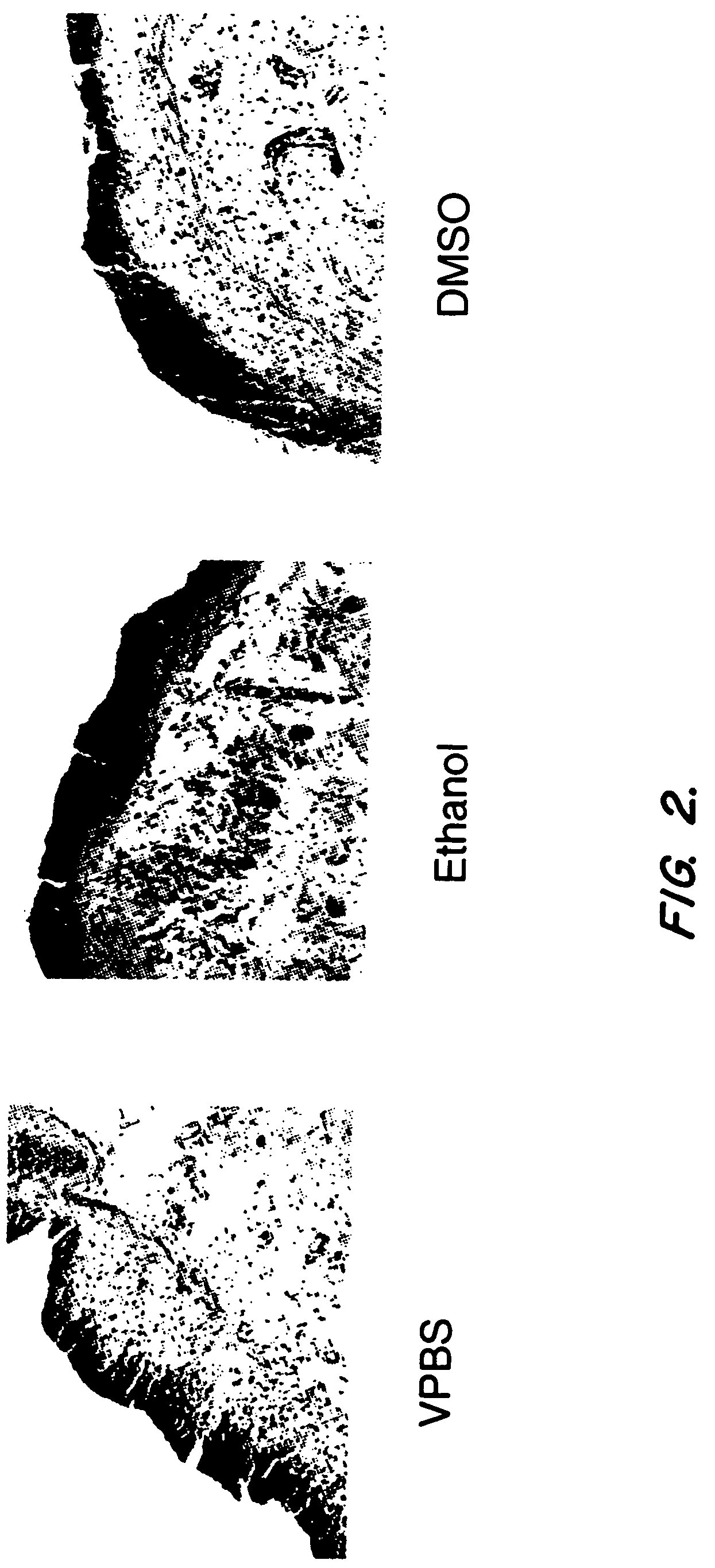 Compositions and methods for therapeutic use