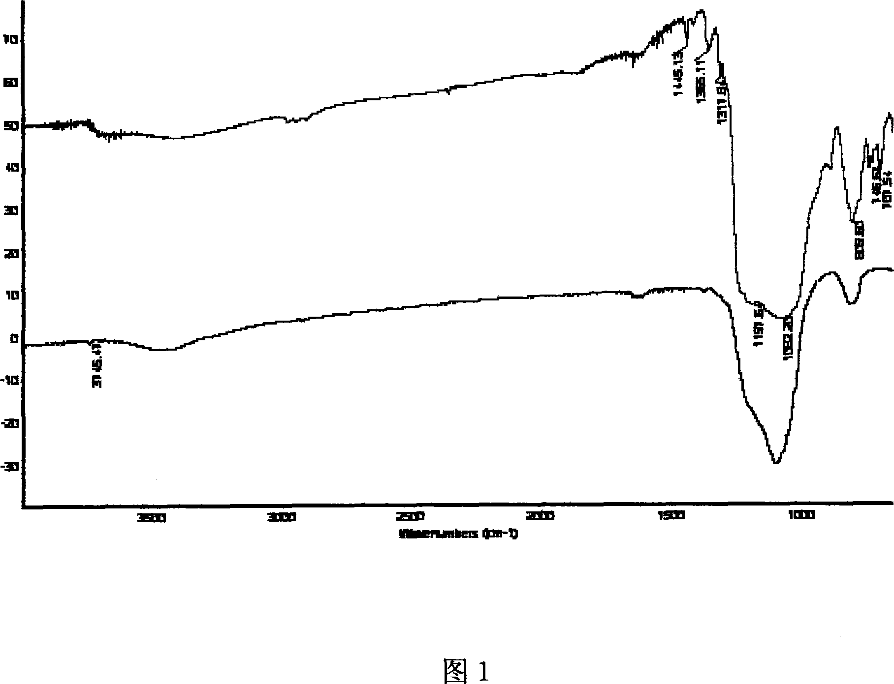 Functional group linken on surface of polymer electrolyte nano SiO2 and preparation method thereof