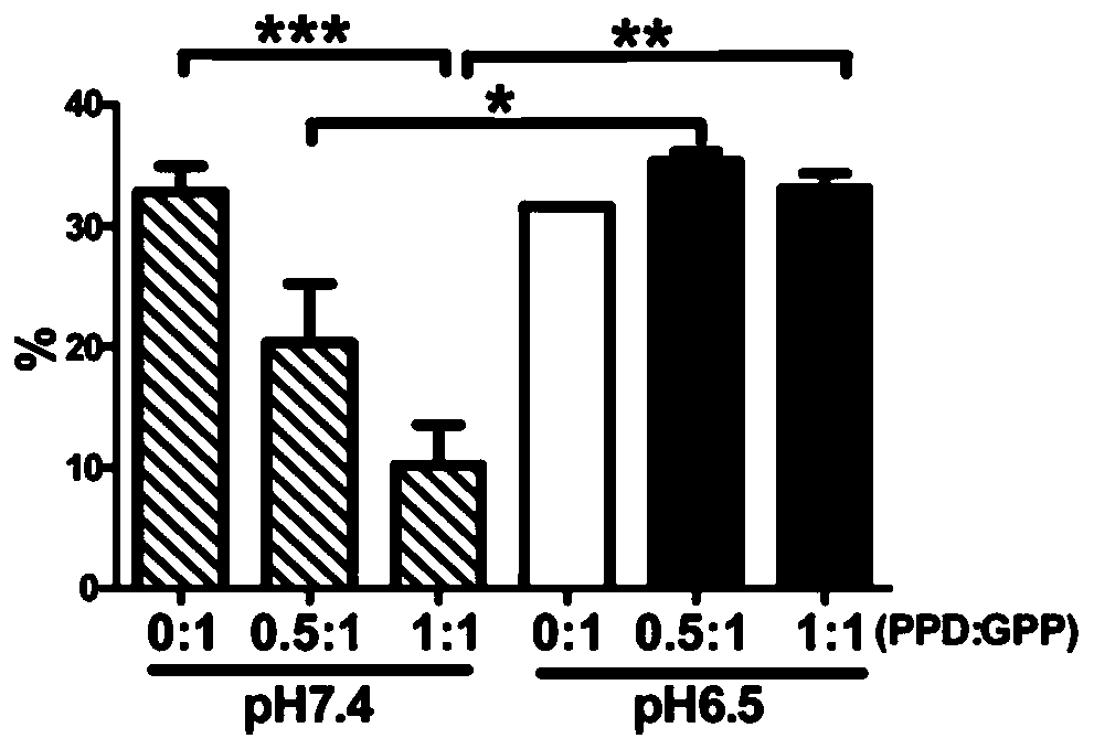 A kind of composite nanoparticle loaded with miRNA and its preparation method and application