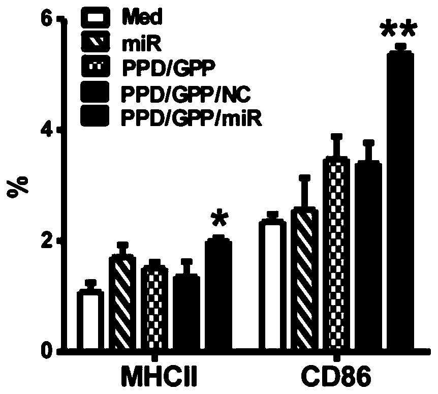 A kind of composite nanoparticle loaded with miRNA and its preparation method and application