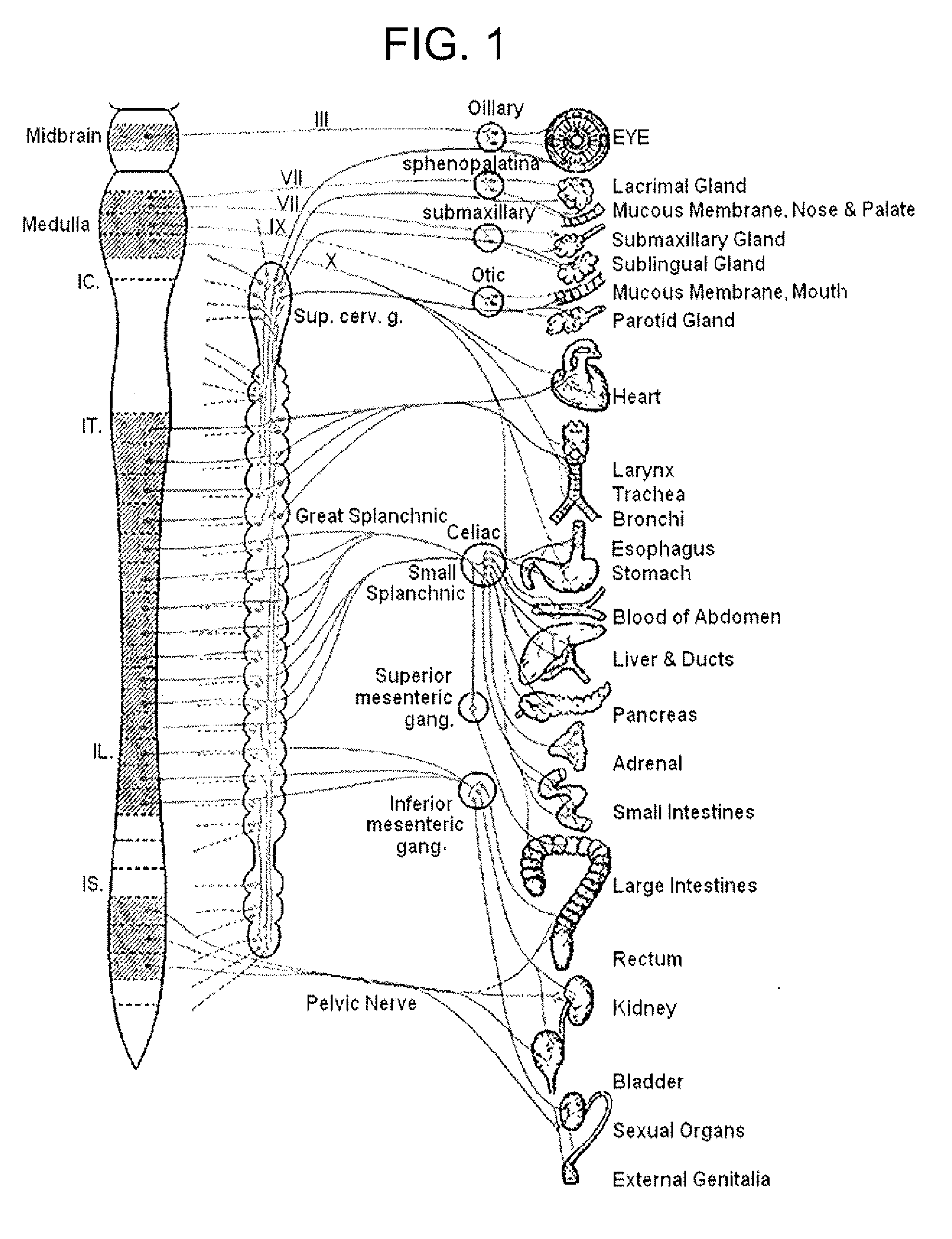 Electrical stimulation treatment of hypotension