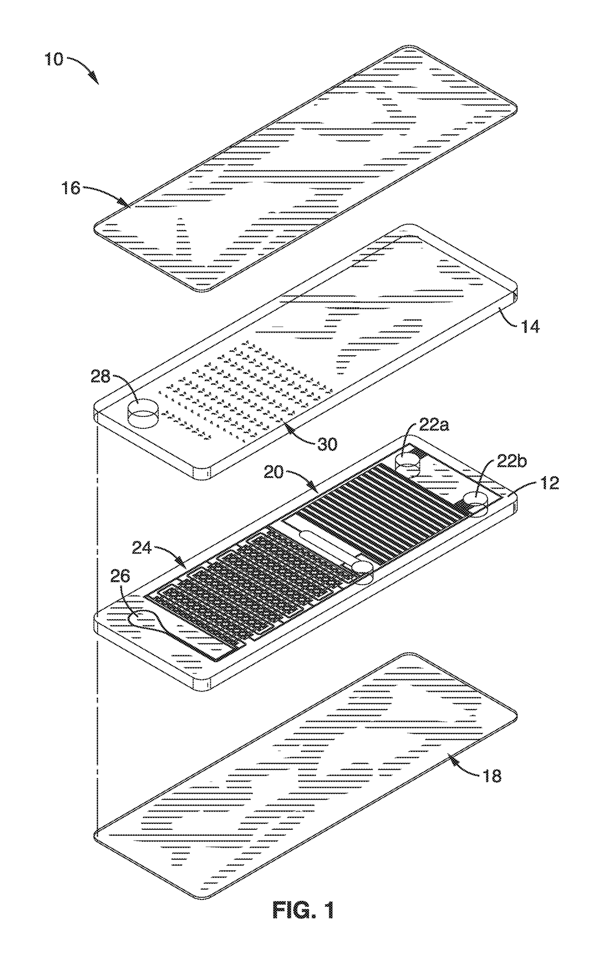 Self-powered microfluidic chip with micro-patterned reagents