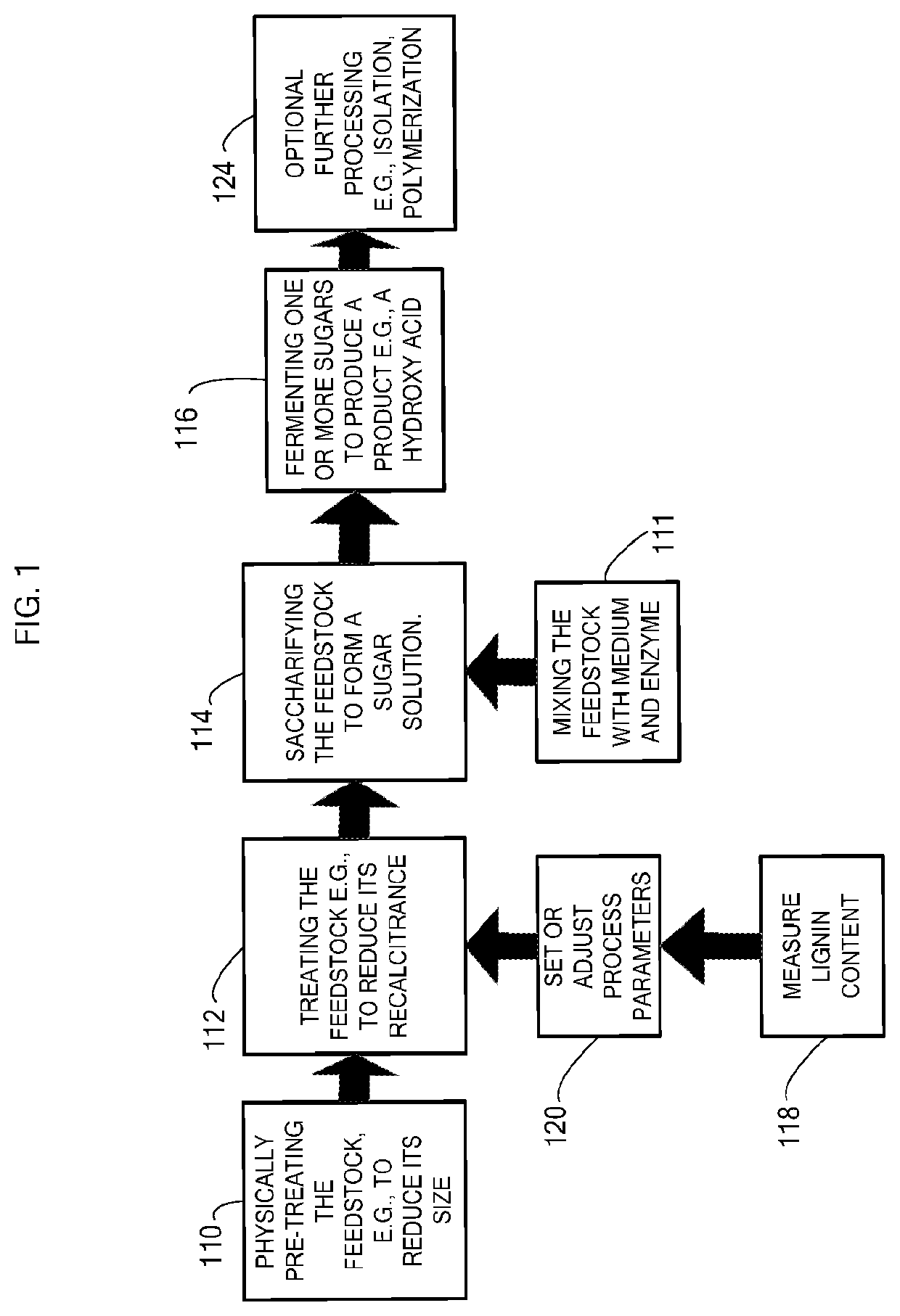 Processing biomass to obtain hydroxylcarboxylic acids