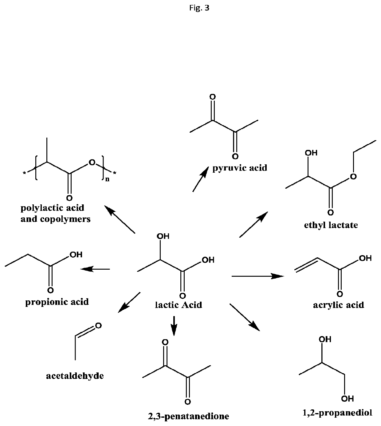 Processing biomass to obtain hydroxylcarboxylic acids