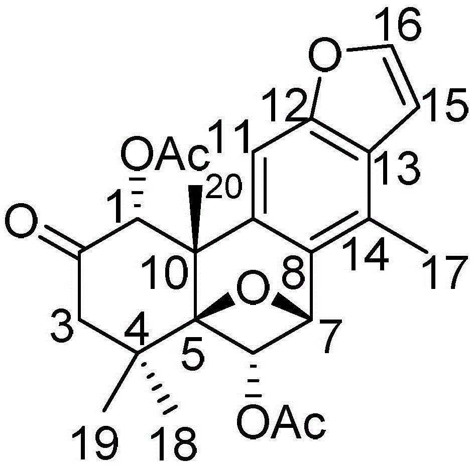 Callicarpa nudiflora extract, diterpene compound and application of pharmaceutical composition to preparation of medicines for treating gliomas