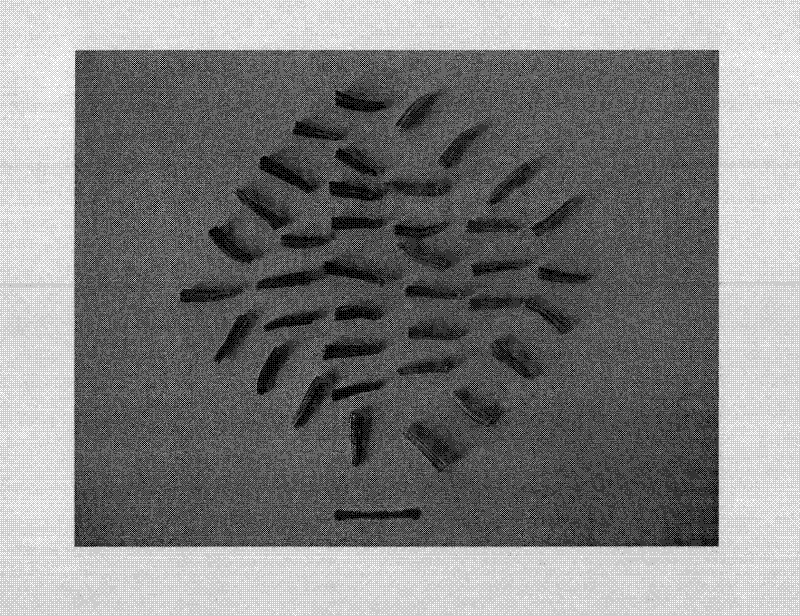 Method for breeding autotetraploid saussurea involucrata plant