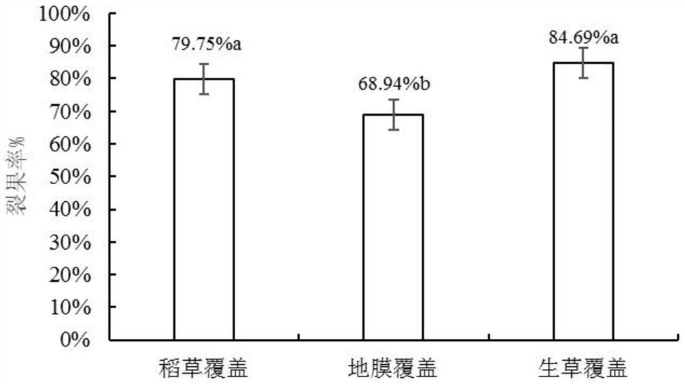 Method for preventing fruit cracking of crisp plums and improving fruit quality