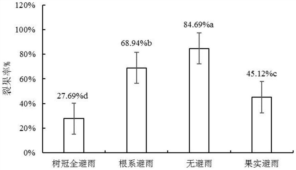 Method for preventing fruit cracking of crisp plums and improving fruit quality