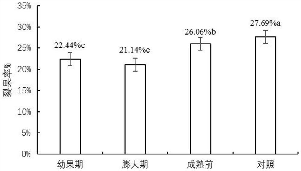 Method for preventing fruit cracking of crisp plums and improving fruit quality