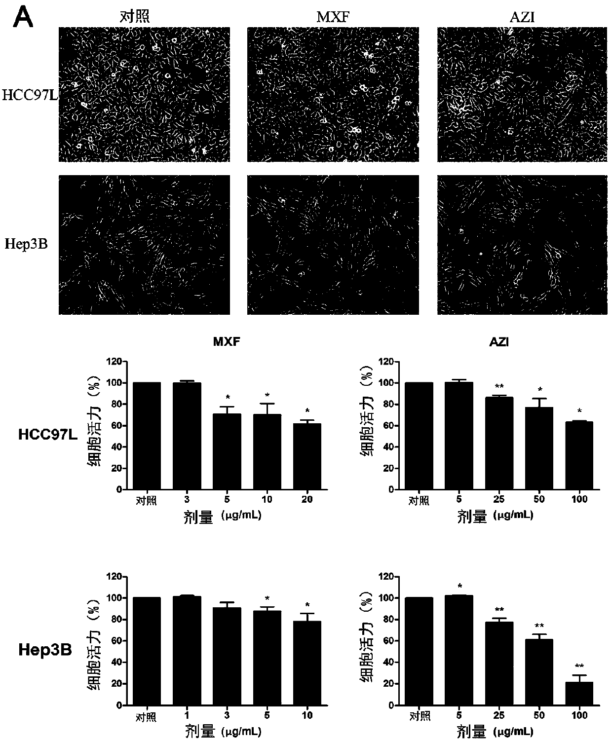 Methods and compositions for treatment of multi-drug resistant tumors