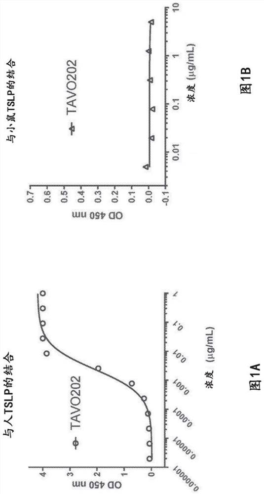 Agents that interfere with thymic stromal lymphopoietin (TSLP) receptor signaling