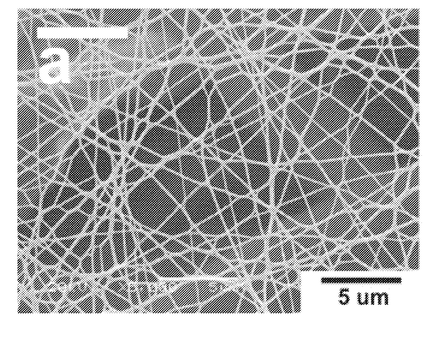 Polyamide Fine Fibers