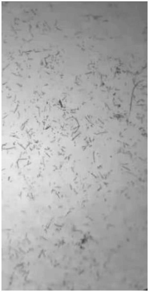 Method for fermenting food industry leftovers by fermenting agent containing bacillus velezensis