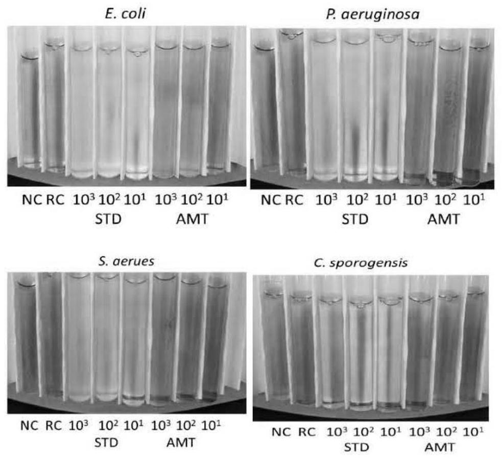 Rapid sterility inspection method