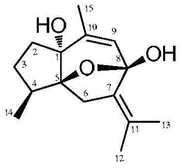 Preparation method and uses of curcumenol microbial transformation product