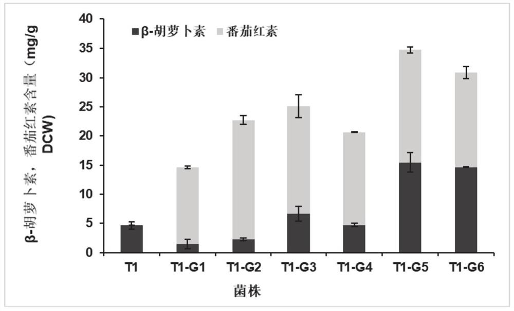 Yarrowia lipolytica with high yield of [beta]-carotene and application thereof