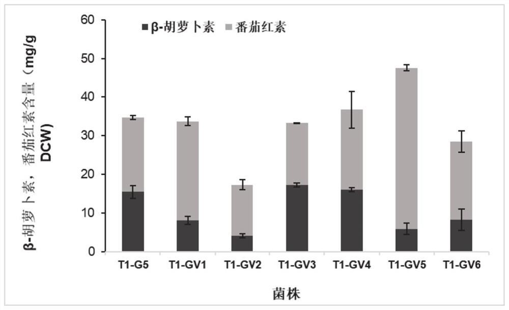 Yarrowia lipolytica with high yield of [beta]-carotene and application thereof