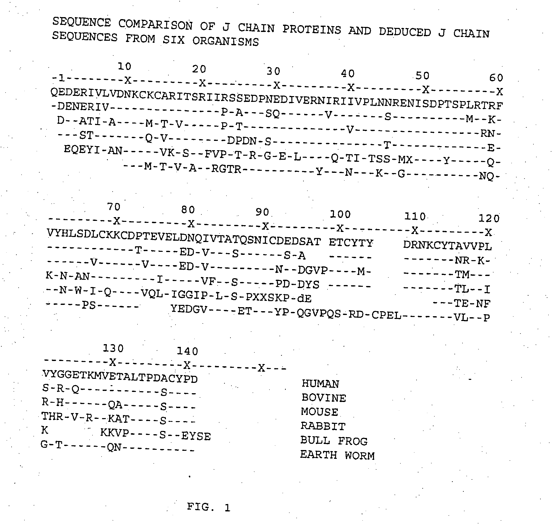 Novel epithelial tissue imaging agent