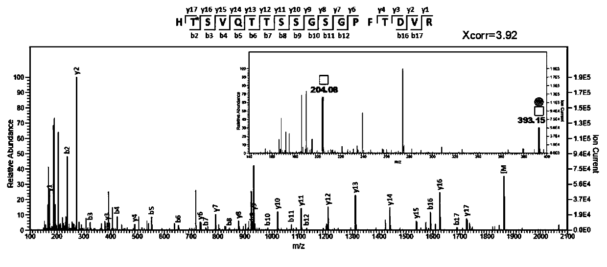 Human serum O-glycosylation identification method based on chemical enzymatic catalysis