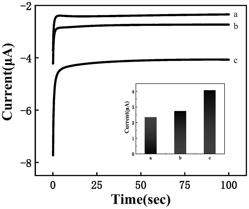 Preparation method of controllable release electrochemical DNA hydrogel composite material based on double-strand specific nuclease assistance