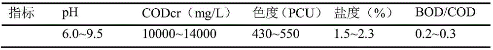 Compound water treatment agent based on ferrate and preparation method of compound water treatment agent