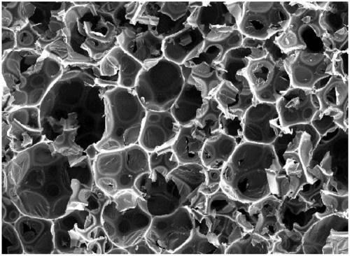 Rigid polyurethane foam composition, rigid polyurethane foam material, and preparation method of rigid polyurethane foam material