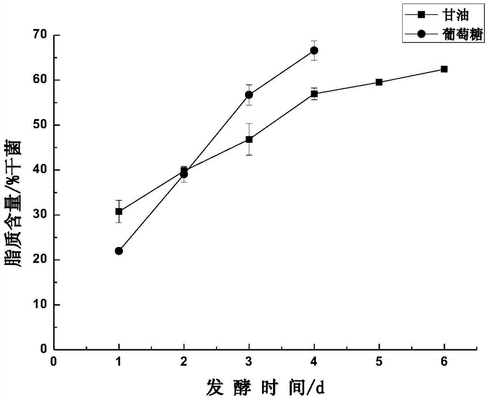 Method for producing DHA (Docosahexaenoic Acid) by fermenting schizochytrium limacinum via mixed carbon source