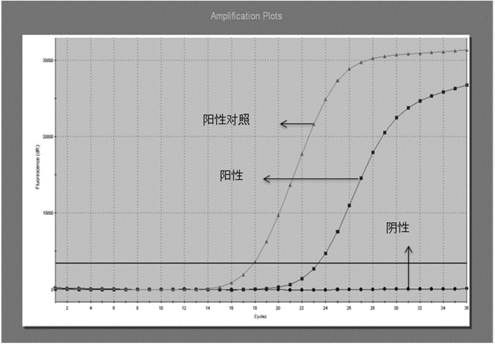 Primers, probes, detection system and kit for one time detection of lung cancer multiple genes