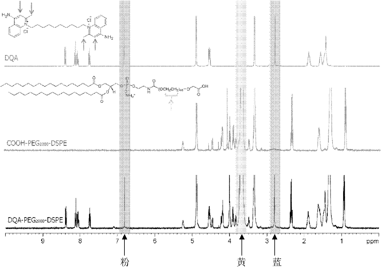 Dequalinium chloride-polyethylene glycol-distearoyl phosphatidyl ethanolamine conjugated compound and resveratrol liposome modified thereby