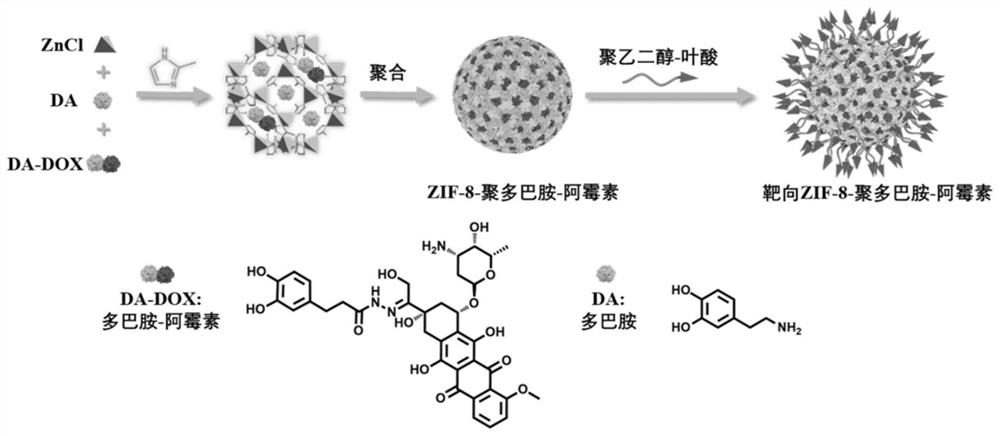 Targeted ZIF-8-polydopamine prodrug nanoparticles and preparation method and application thereof