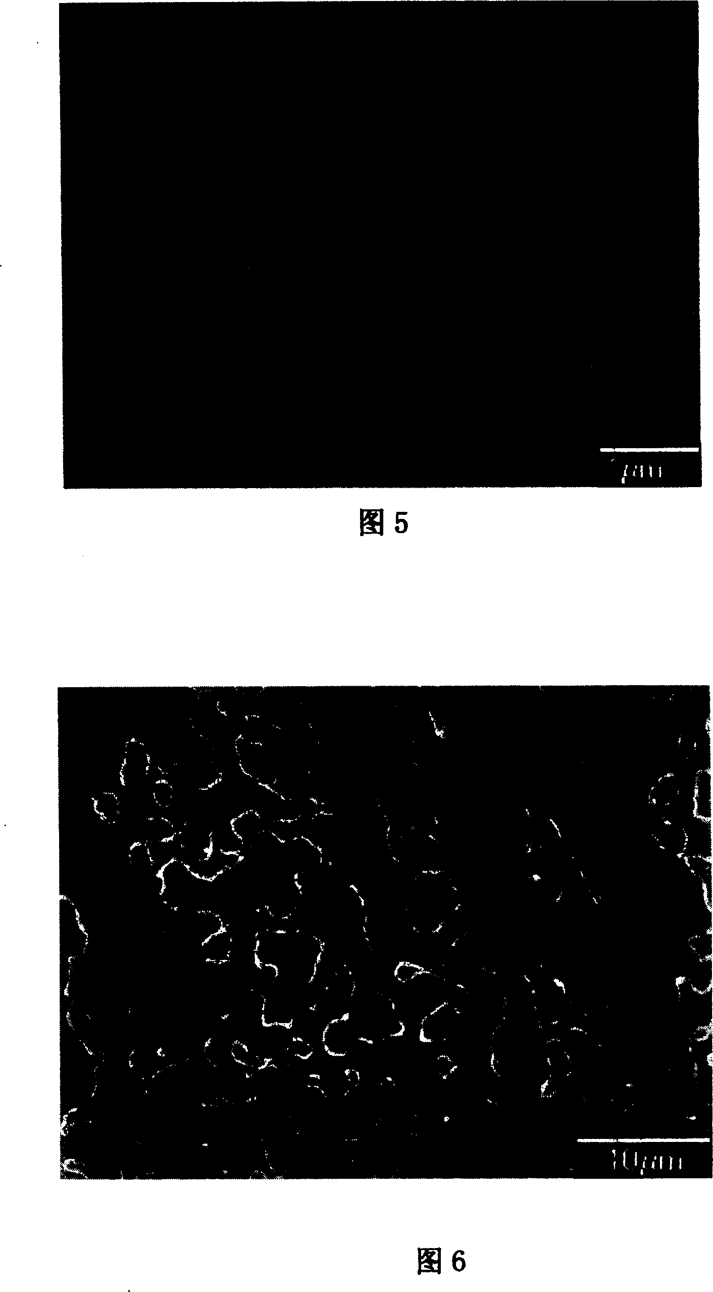 Highly oriented laminated dihydroxy composite metal oxide film and its preparing method