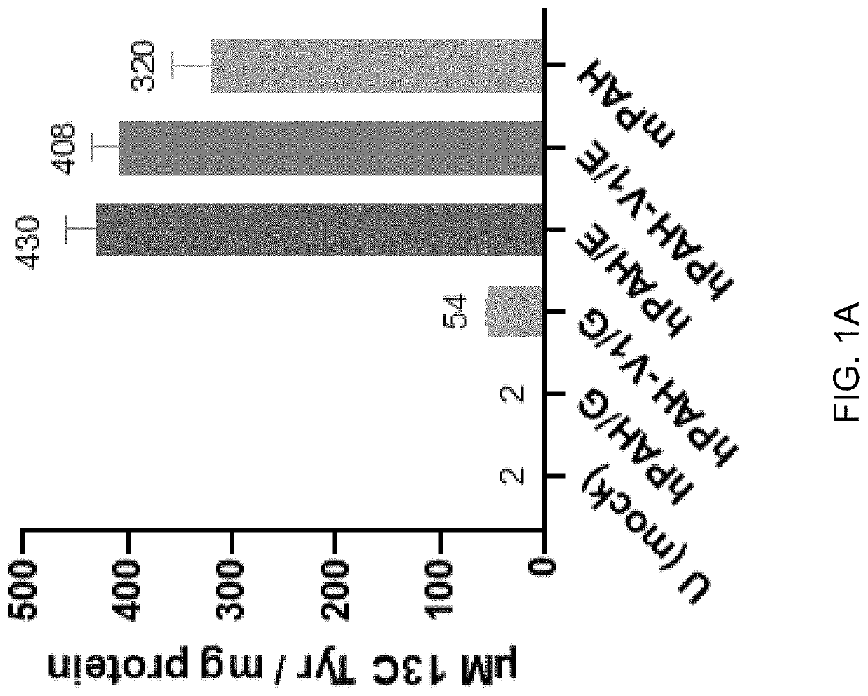 Human pah expression cassette for treatment of pku by liver-directed gene replacement therapy