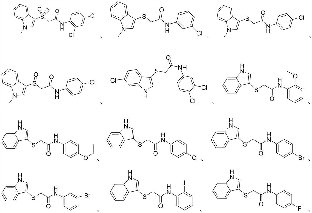 Application and pharmaceutical composition of 3-position functionalized n(o,s)-heteroindenes derivatives in the preparation of anti-Zika virus drugs