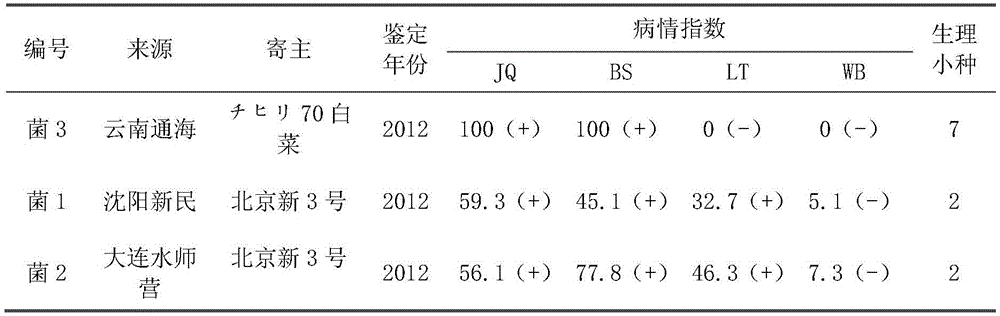 InDel molecular marker for identifying clubroot-resistant QTL (quantitative trait locus) located on Chinese cabbage A03 chromosome and application thereof