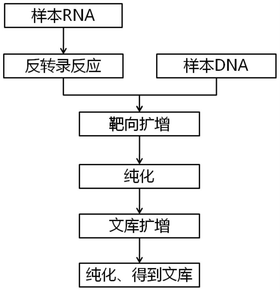 Method and kit for constructing multi-gene mutation sequencing library of lung cancer driving genes